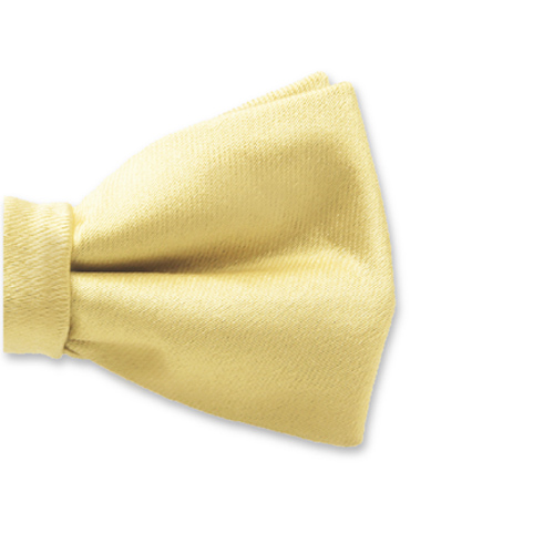 Noeud Papillon satin jaune pale pour Enfants (2)