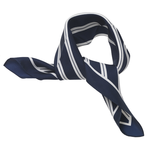 Foulard en soie bleu foncé/ blanc rayé (3)