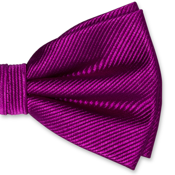 Nœud papillon homme violet (2)