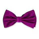 Nœud papillon homme violet - Thumbnail 1