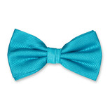 Nœud papillon homme turquoise - Thumbnail 1